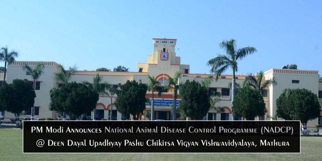 National Animal Disease Control Programme (NADCP)